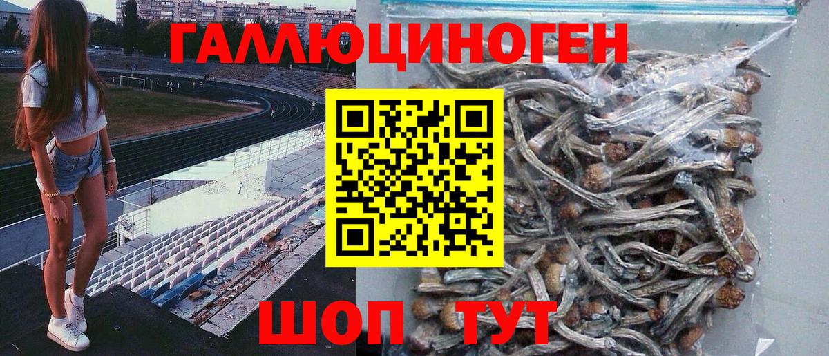 Рузаевка  Псилоцибиновые грибы Psilocybe  Вход с VPN 