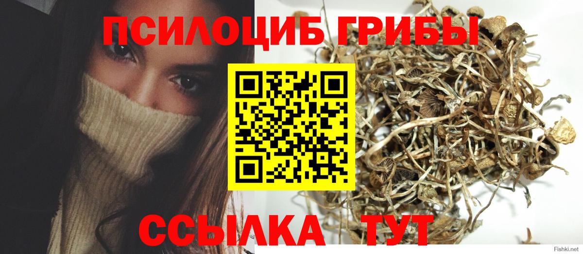 Псилоцибиновые грибы прущие грибы Рузаевка